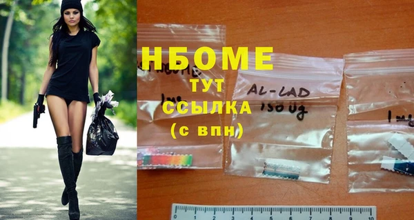 твердый Абаза